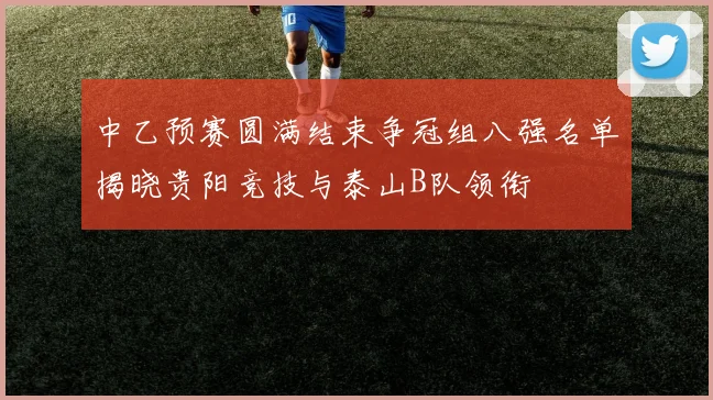 中乙预赛圆满结束争冠组八强名单揭晓贵阳竞技与泰山B队领衔